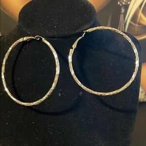 Elegant Silver Hoop Earrings